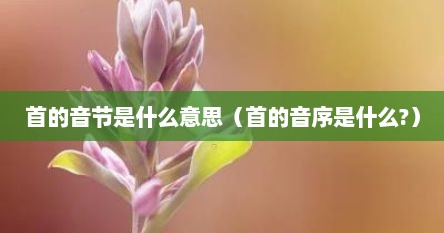 首的音节是什么意思（首的音序是什么?）