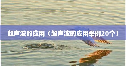 超声波的应用（超声波的应用举例20个）