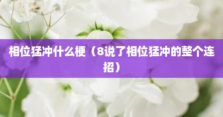 相位猛冲什么梗（8说了相位猛冲的整个连招）