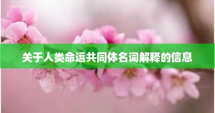 关于人类命运共同体名词解释的信息