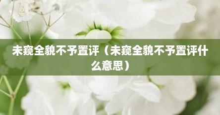 未窥全貌不予置评（未窥全貌不予置评什么意思）