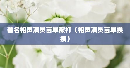 著名相声演员苗阜被打（相声演员苗阜挨揍）