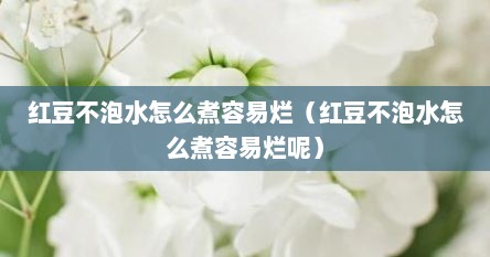 红豆不泡水怎么煮容易烂（红豆不泡水怎么煮容易烂呢）