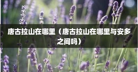 唐古拉山在哪里（唐古拉山在哪里与安多之间吗）