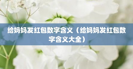 给妈妈发红包数字含义（给妈妈发红包数字含义大全）