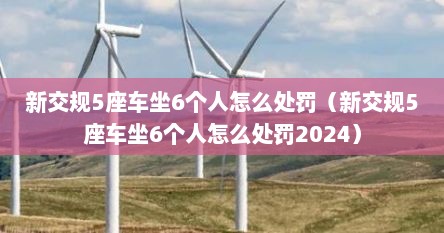 新交规5座车坐6个人怎么处罚（新交规5座车坐6个人怎么处罚2024）