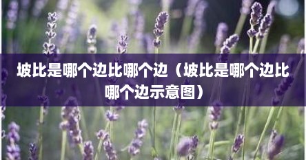 坡比是哪个边比哪个边（坡比是哪个边比哪个边示意图）