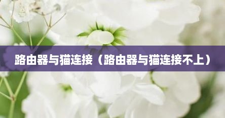 路由器与猫连接（路由器与猫连接不上）