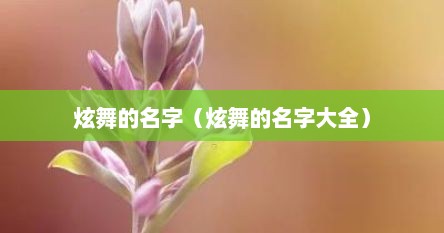 炫舞的名字（炫舞的名字大全）