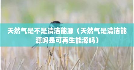 天然气是不是清洁能源（天然气是清洁能源吗是可再生能源吗）