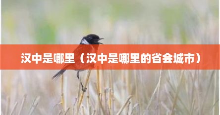 汉中是哪里（汉中是哪里的省会城市）