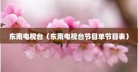 东南电视台（东南电视台节目单节目表）