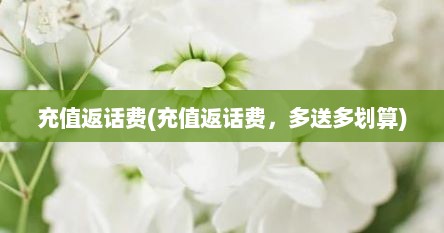 充值返话费(充值返话费，多送多划算)