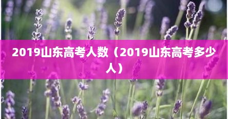 2019山东高考人数（2019山东高考多少人）