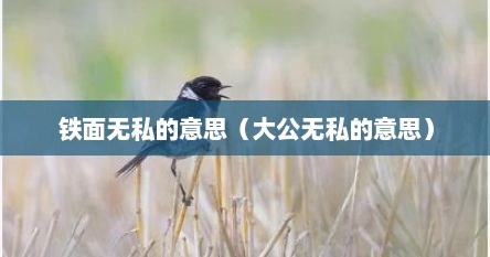 铁面无私的意思（大公无私的意思）