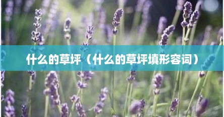 什么的草坪（什么的草坪填形容词）