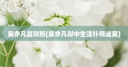 吴亦凡监狱照(吴亦凡狱中生活扑朔迷离)