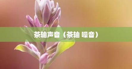 茶轴声音（茶轴 噪音）