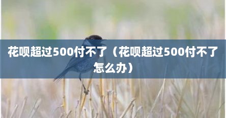 花呗超过500付不了（花呗超过500付不了怎么办）