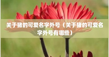 关于猪的可爱名字外号（关于猪的可爱名字外号有哪些）