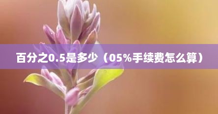 百分之0.5是多少（05%手续费怎么算）