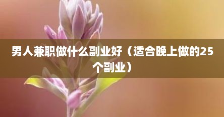 男人兼职做什么副业好（适合晚上做的25个副业）