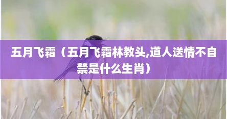 五月飞霜（五月飞霜林教头,道人送情不自禁是什么生肖）