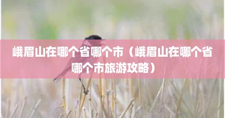 峨眉山在哪个省哪个市（峨眉山在哪个省哪个市旅游攻略）