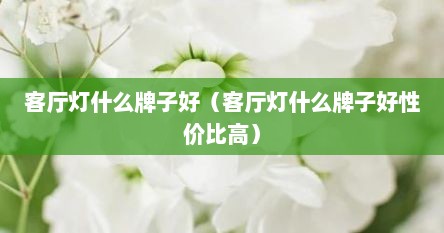 客厅灯什么牌子好（客厅灯什么牌子好性价比高）