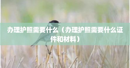 办理护照需要什么（办理护照需要什么证件和材料）