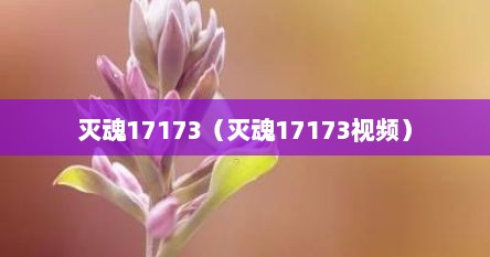 灭魂17173（灭魂17173视频）