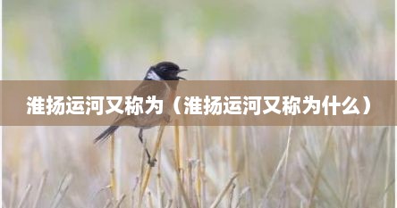 淮扬运河又称为（淮扬运河又称为什么）