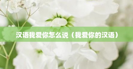 汉语我爱你怎么说（我爱你的汉语）