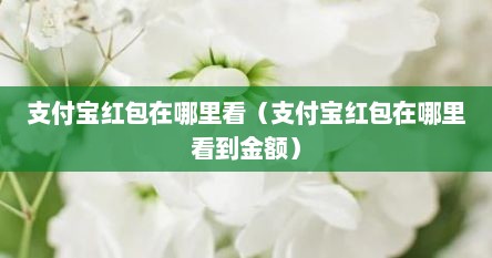 支付宝红包在哪里看（支付宝红包在哪里看到金额）