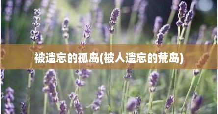 被遗忘的孤岛(被人遗忘的荒岛)