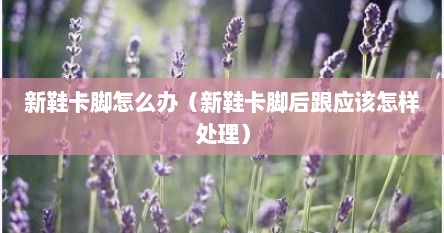 新鞋卡脚怎么办（新鞋卡脚后跟应该怎样处理）