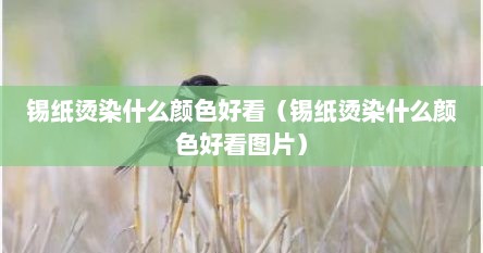 锡纸烫染什么颜色好看（锡纸烫染什么颜色好看图片）