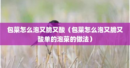 包菜怎么泡又脆又酸（包菜怎么泡又脆又酸单的泡菜的做法）