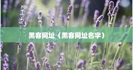 黑客网址（黑客网址名字）