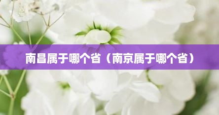 南昌属于哪个省（南京属于哪个省）