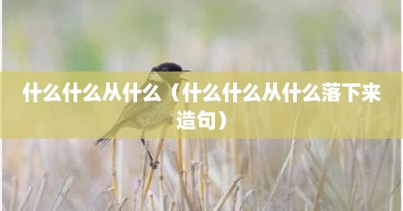 什么什么从什么（什么什么从什么落下来造句）