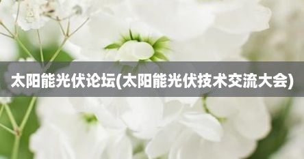 太阳能光伏论坛(太阳能光伏技术交流大会)