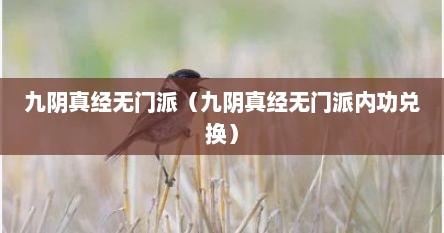 九阴真经无门派（九阴真经无门派内功兑换）