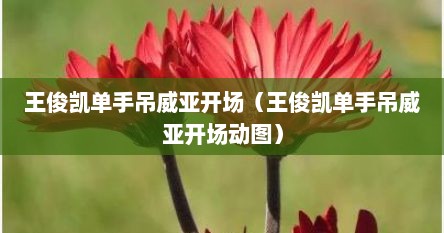 王俊凯单手吊威亚开场（王俊凯单手吊威亚开场动图）