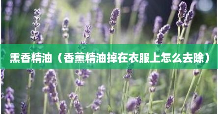 熏香精油（香薰精油掉在衣服上怎么去除）