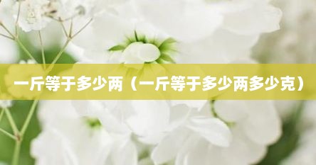 一斤等于多少两（一斤等于多少两多少克）