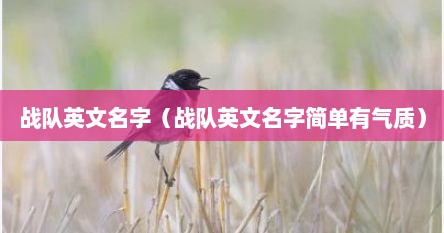 战队英文名字（战队英文名字简单有气质）