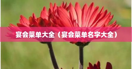 宴会菜单大全（宴会菜单名字大全）