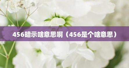 456暗示啥意思啊（456是个啥意思）