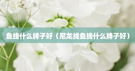 鱼线什么牌子好（尼龙线鱼线什么牌子好）